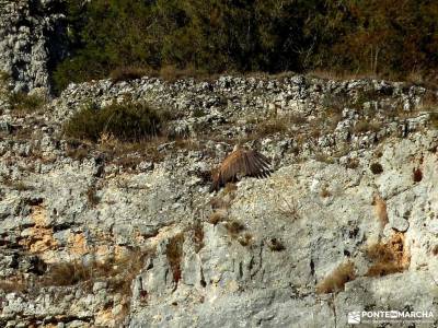 Cañones del Río Lobos y Valderrueda;cascada del aljibe consejos senderismo rutas senderismo sierra